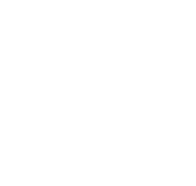 LSR Consignment
